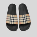 BERRY SLIDES
