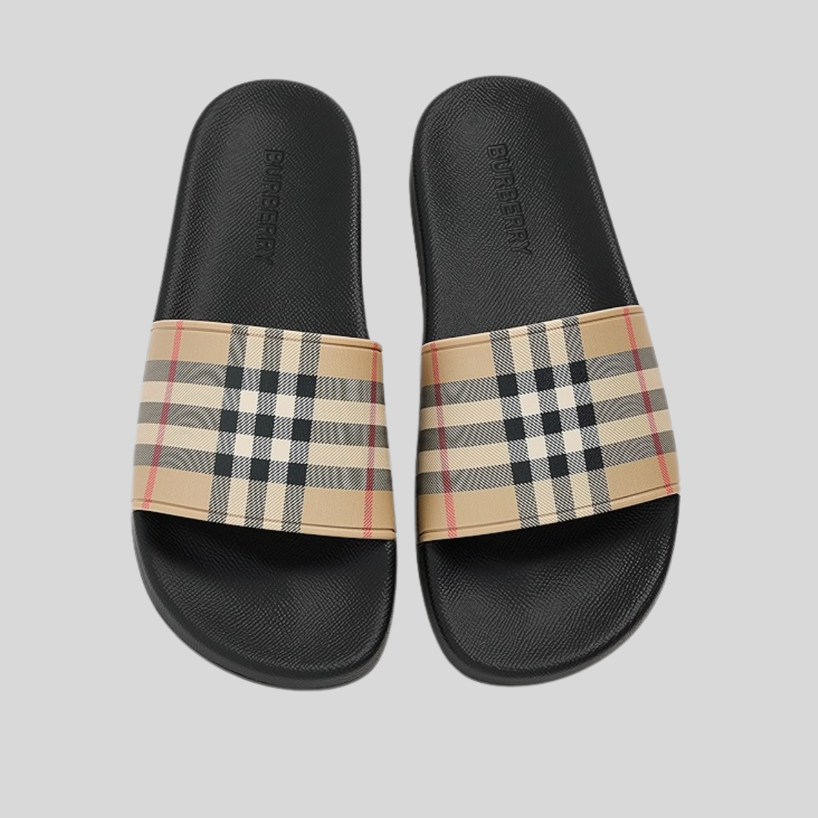 BERRY SLIDES